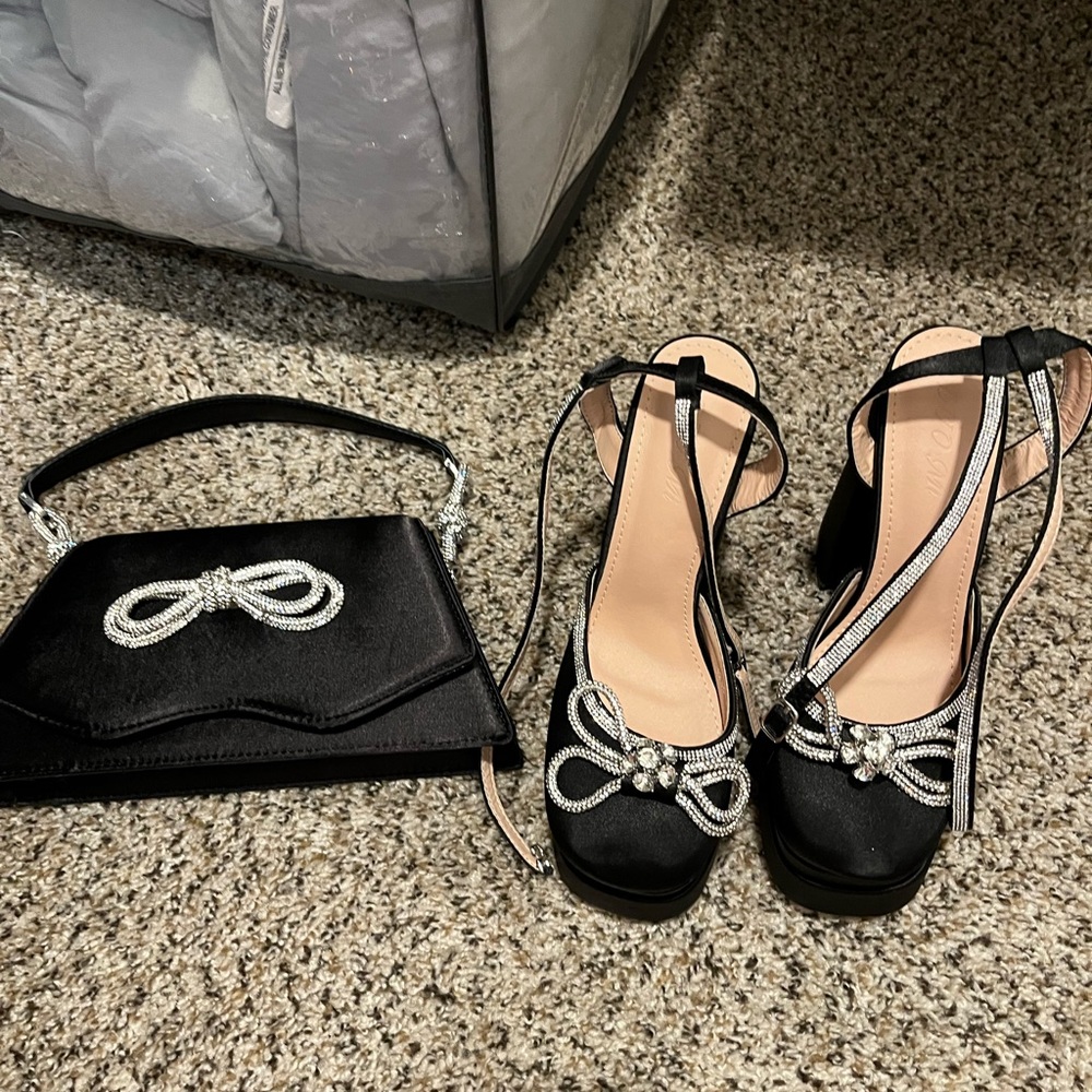 Shoes and purse set